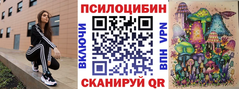 блэк спрут tor  где купить наркотик  Кинель  Галлюциногенные грибы Psilocybe 