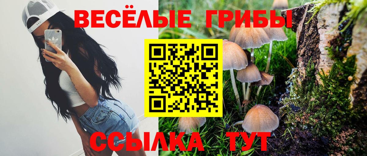 Кинель  Псилоцибиновые грибы ЛСД  Вход с VPN 