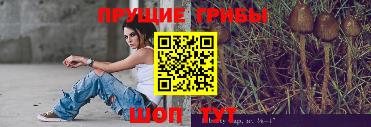 Галлюциногенные грибы Psilocybine cubensis Кинель